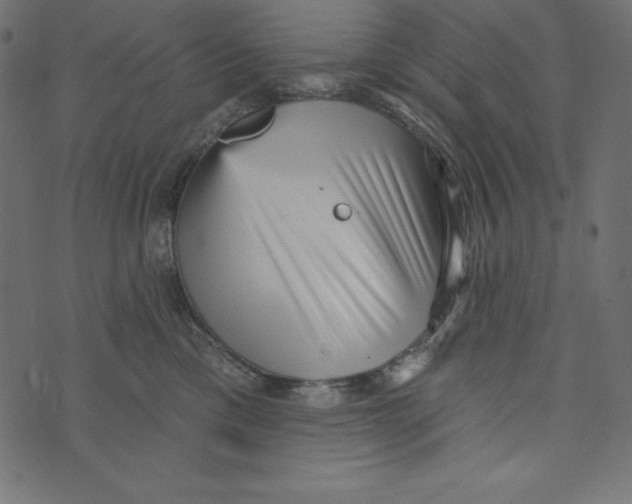 X0000072940425200608181346