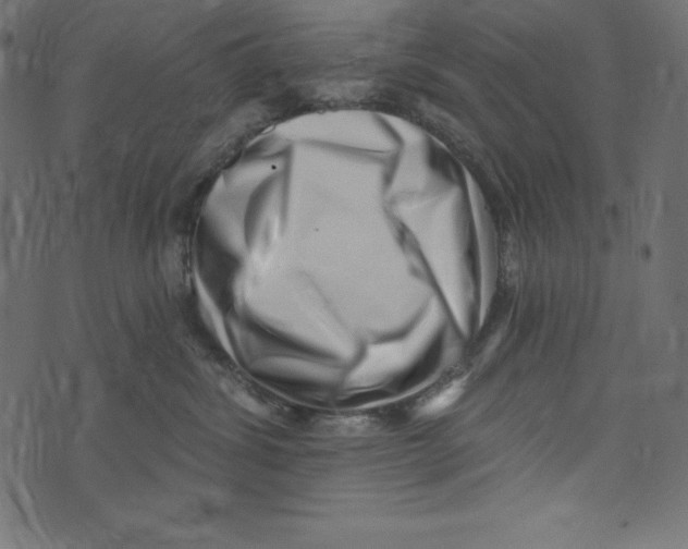 X0000072940428200608181346