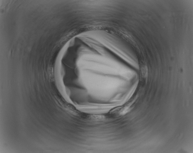 X0000072940429200608181346