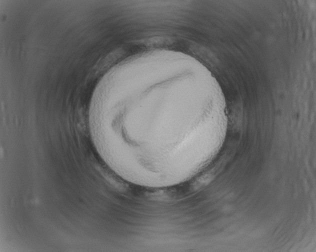 X0000072940430200608181346