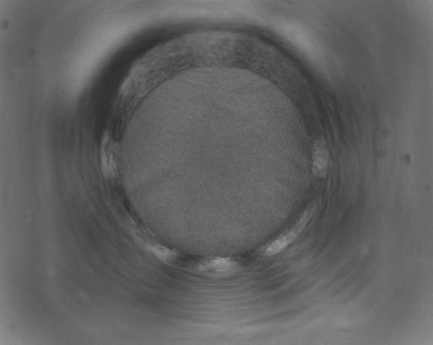 X0000072940431200608181346