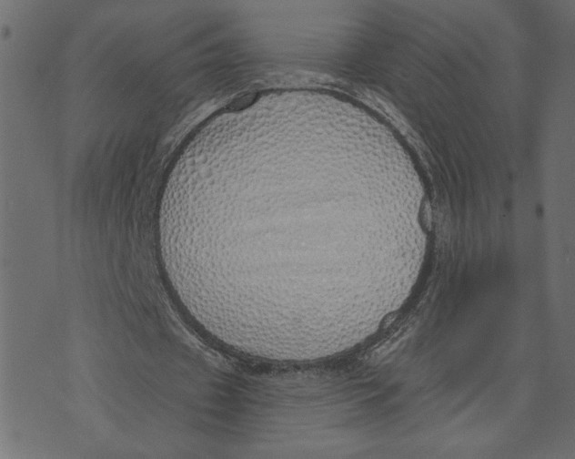 X0000072940433200608181345