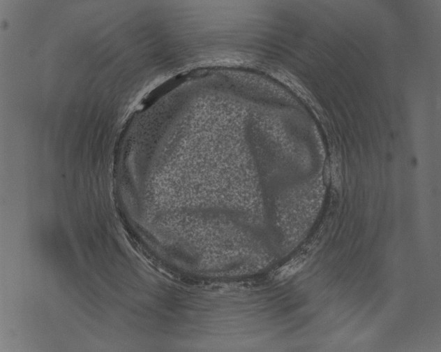 X0000072940434200608181345