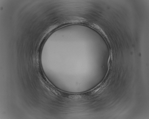 X0000072940435200608181345