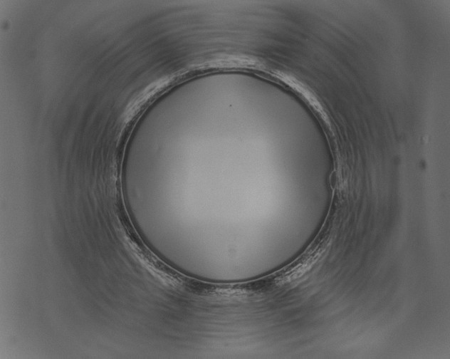 X0000072940437200608181345