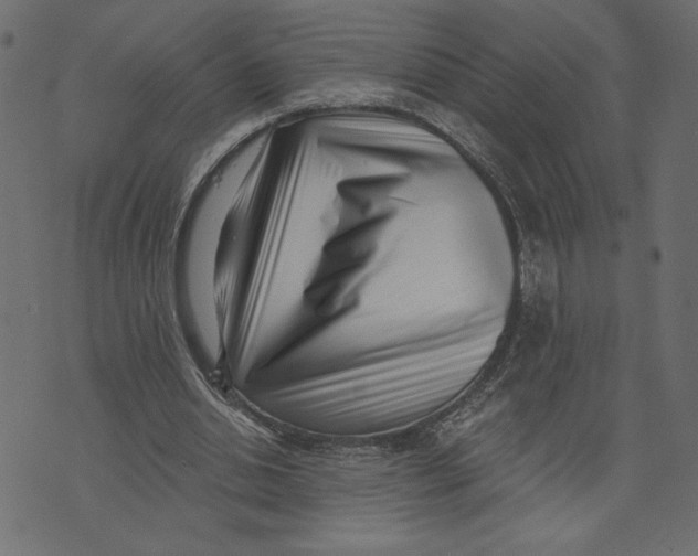 X0000072940438200608181345