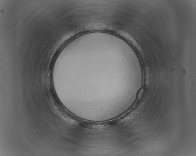 X0000072940439200608181345