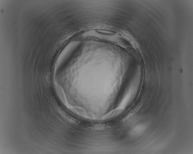 X0000072940441200608181345