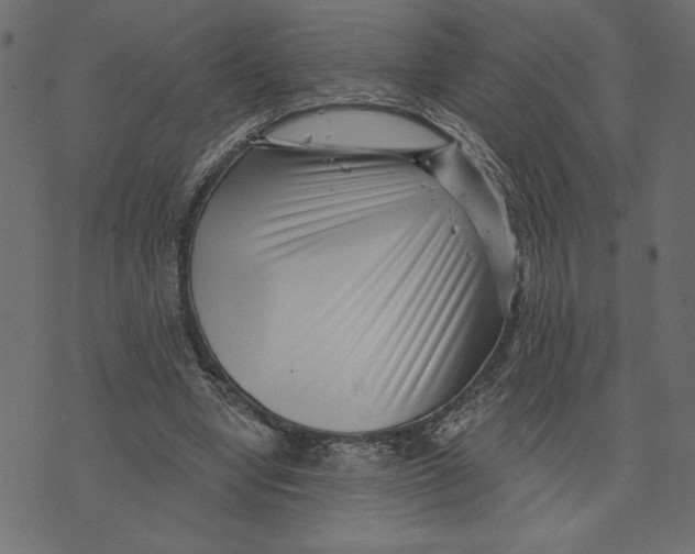 X0000072940442200608181345