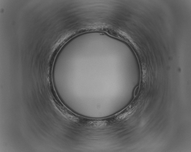 X0000072940443200608181345