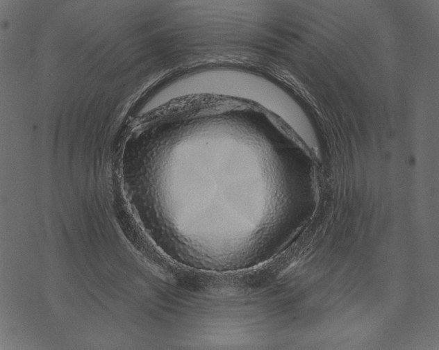 X0000072940444200608181345