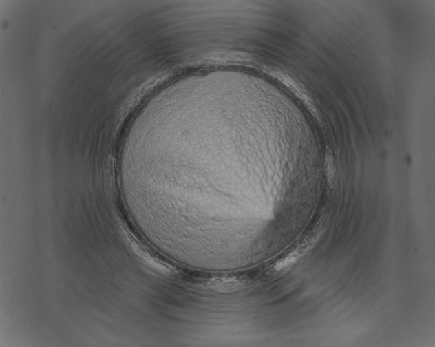 X0000072940445200608181345