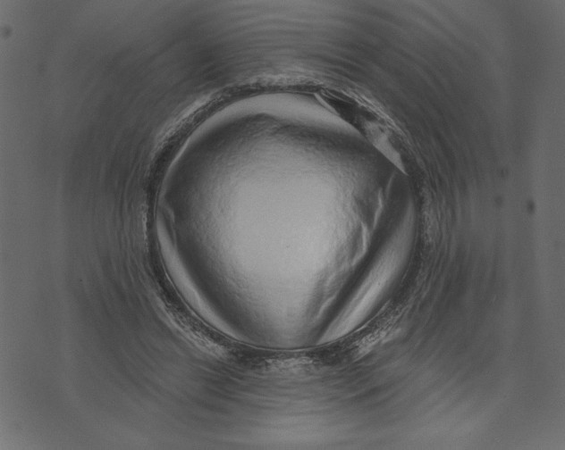 X0000072940446200608181345