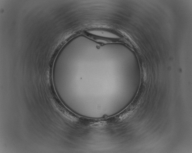 X0000072940447200608181345