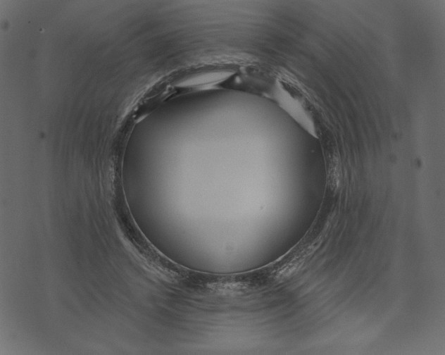 X0000072940448200608181345