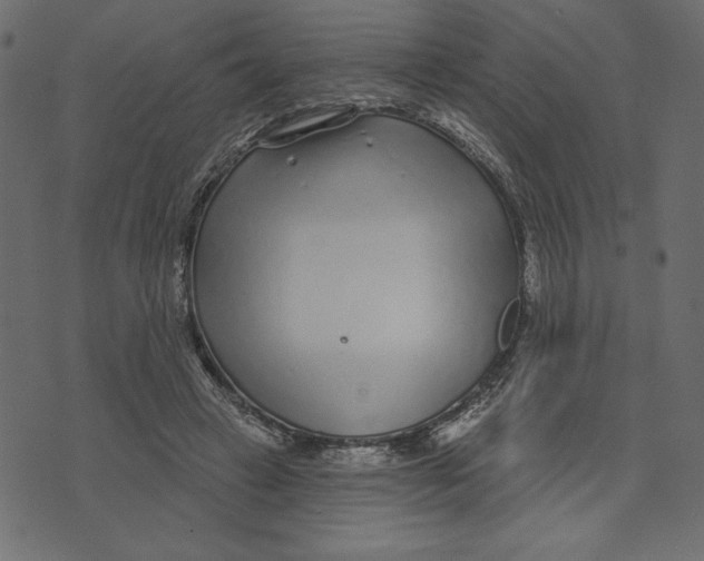 X0000072940449200608181345