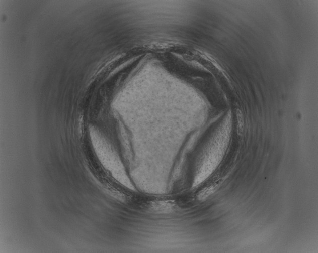 X0000072940451200608181345