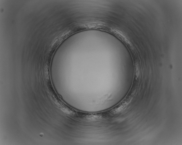 X0000072940453200608181345