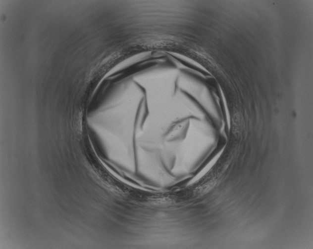 X0000072940454200608181345