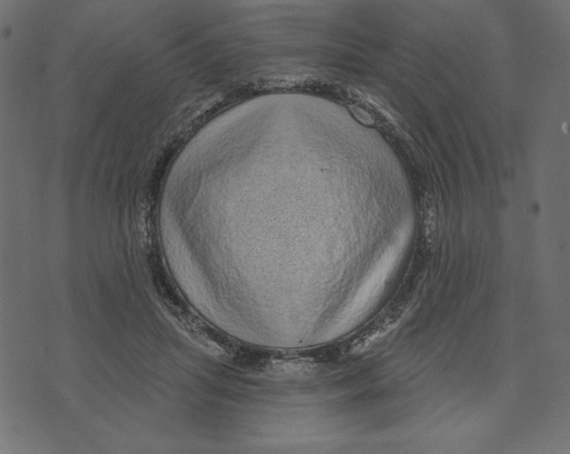 X0000072940455200608181345