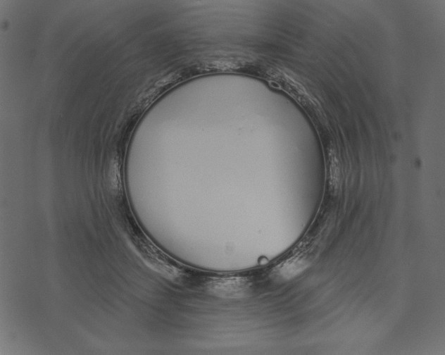 X0000072940459200608181345