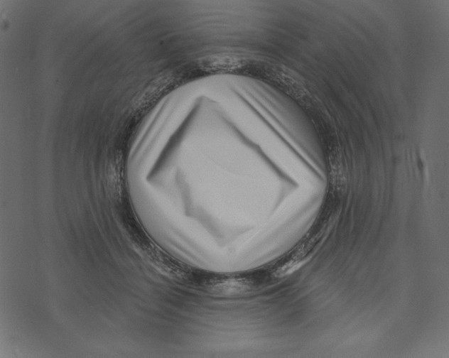 X0000072940460200608181345