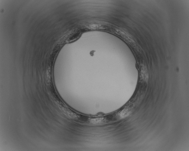 X0000072940461200608181345