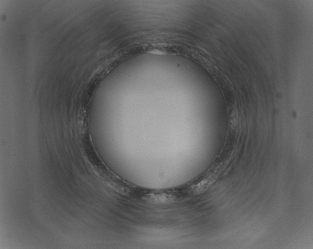 X0000072940464200608181345