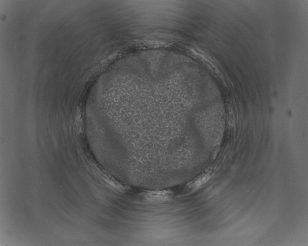 X0000072940465200608181345