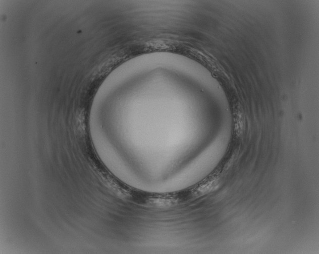 X0000072940466200608181345