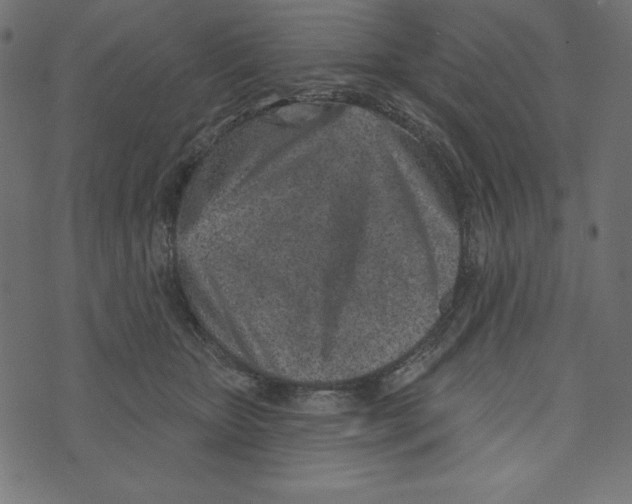 X0000072940467200608181345