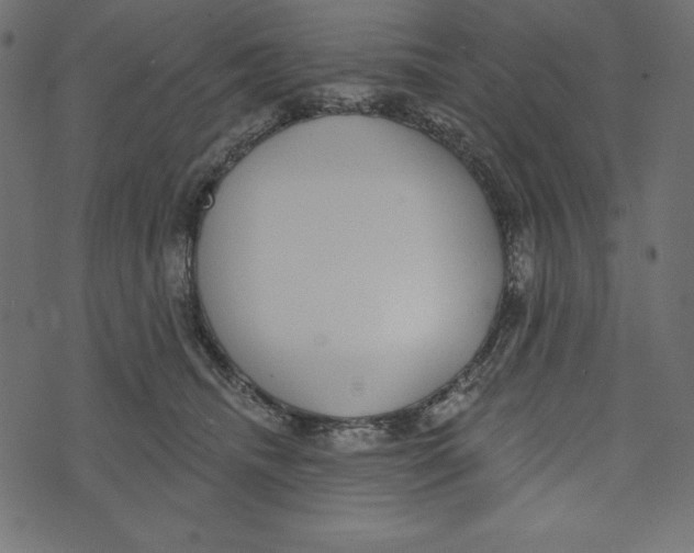 X0000072940468200608181345