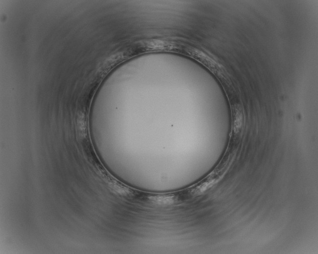 X0000072940469200608181345