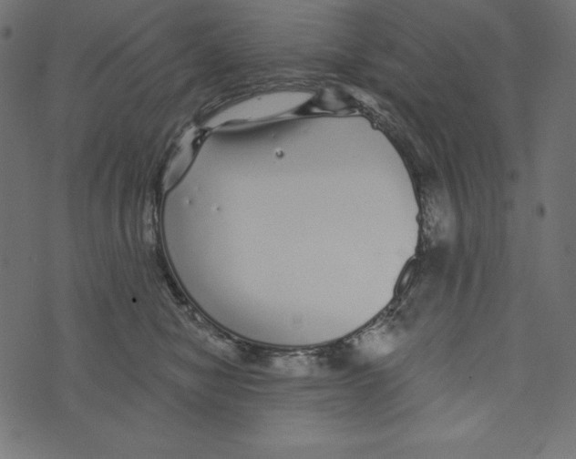 X0000072940470200608181345