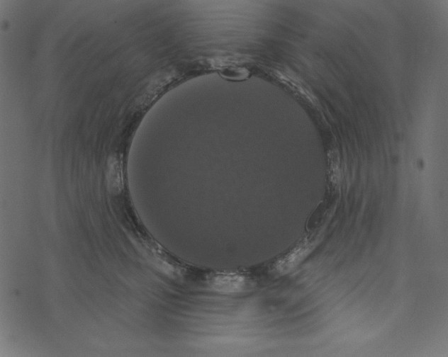 X0000072940471200608181345