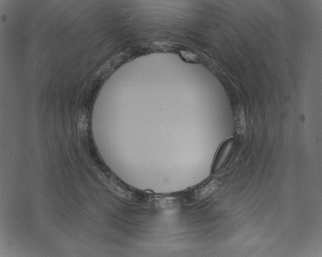 X0000072940472200608181345