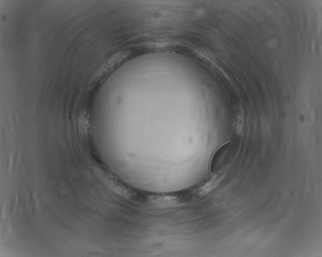 X0000072940476200608181345