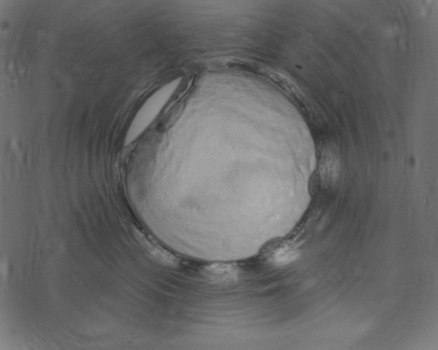 X0000072940477200608181345