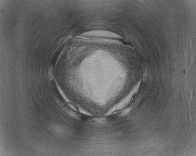 X0000072940478200608181345