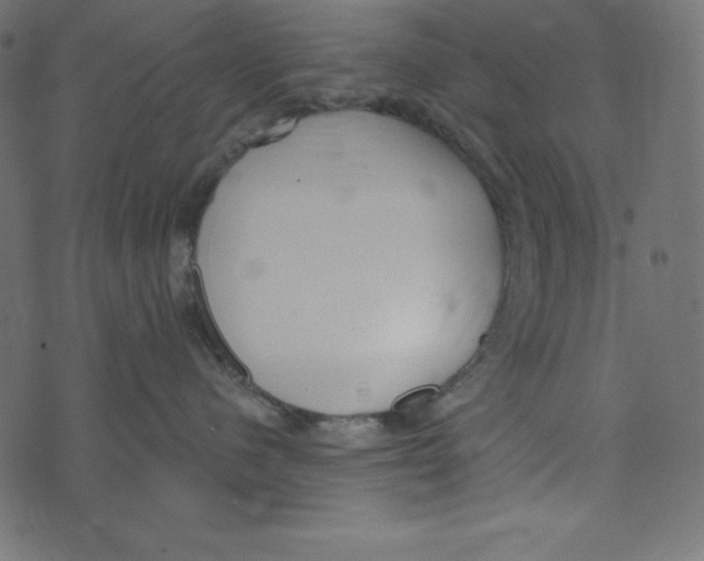 X0000072940480200608181346