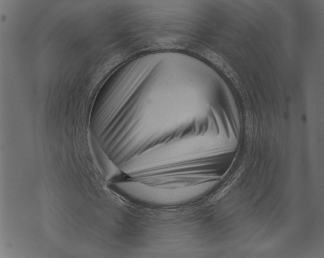 X0000072940481200608181345