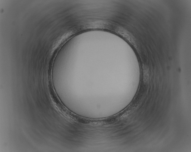 X0000072940482200608181345