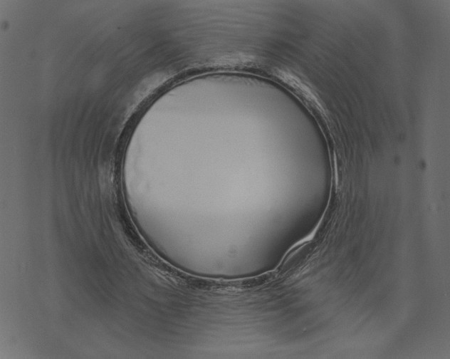 X0000072940483200608181345