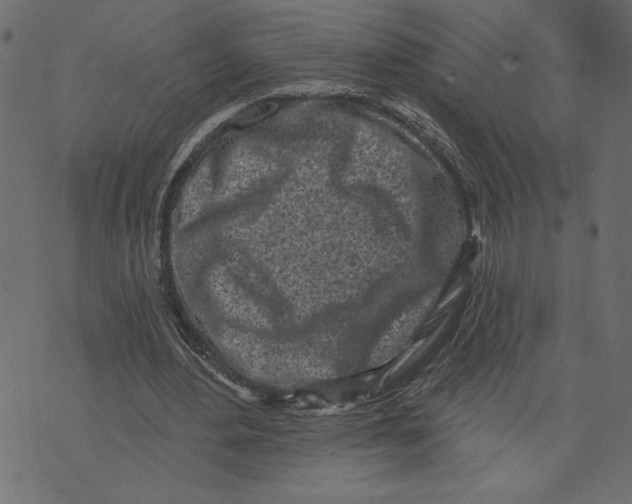 X0000072940484200608181345