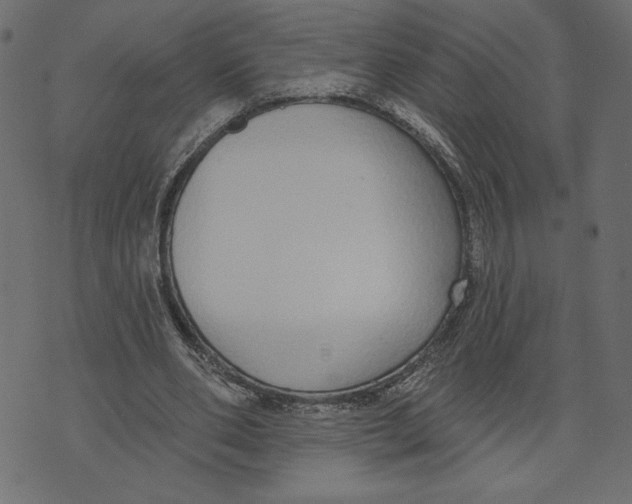 X0000072940486200608181345