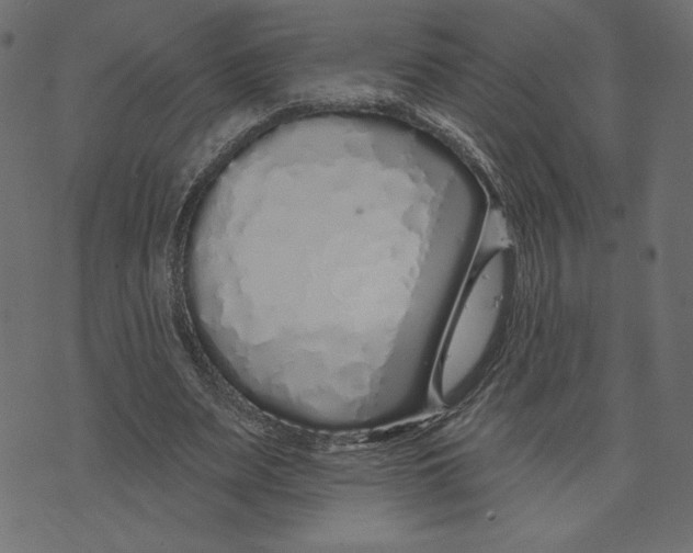 X0000072940487200608181345