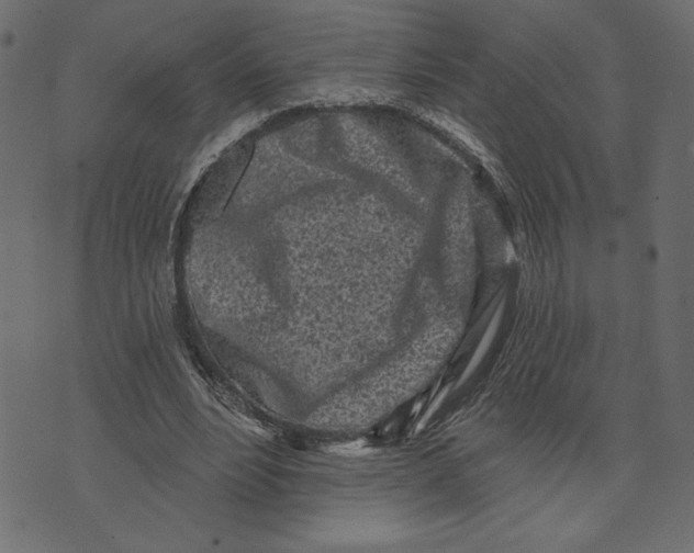 X0000072940488200608181345