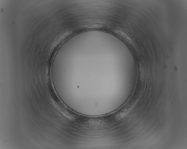 X0000072940490200608181345