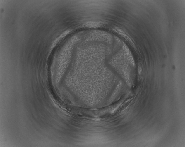 X0000072940492200608181345