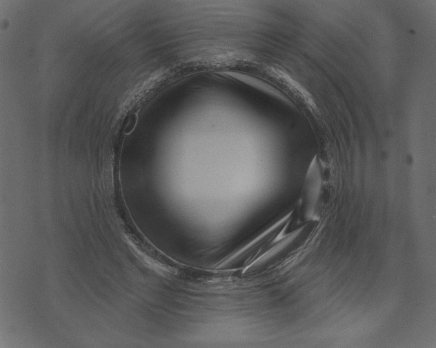 X0000072940493200608181345